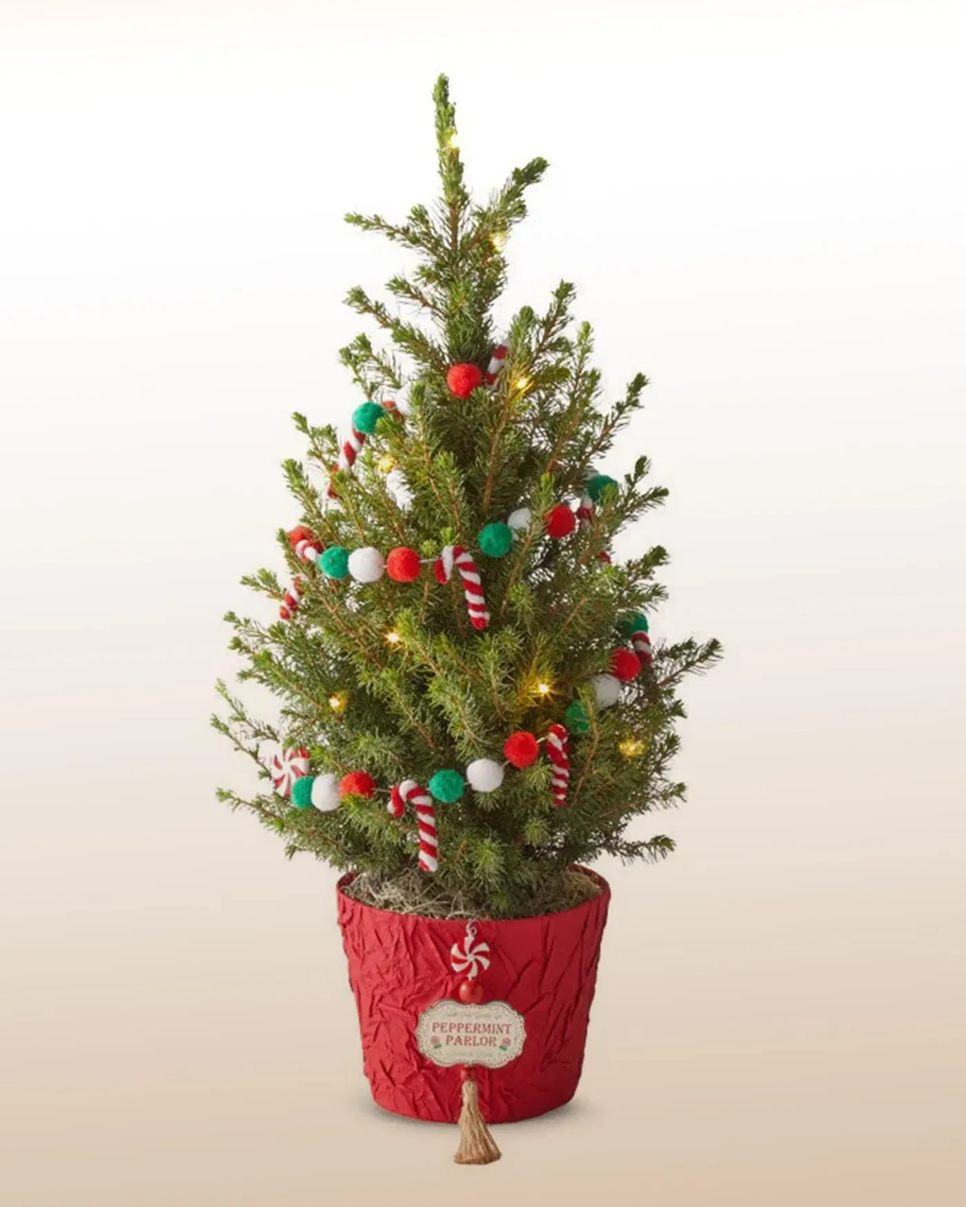 Minty Holiday Mini Tree – LatinFlores.com