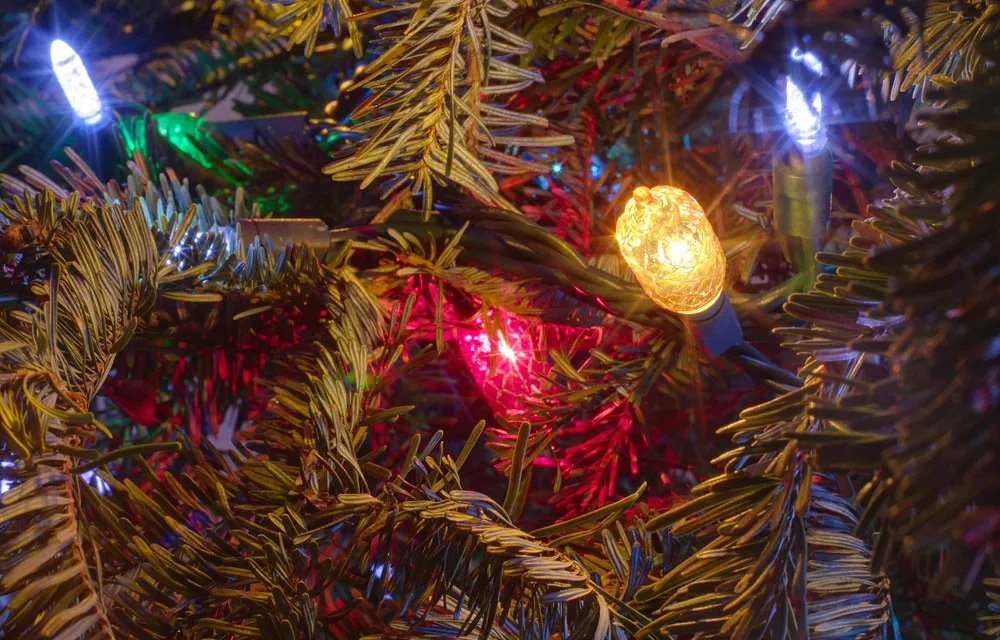 Moon River and Me...a Christmas Memory and Wish - Julie Rubini