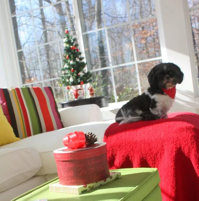 My Sunroom Is Ready for Christmas...Now All We Need Is a Little Snow! - Hooked on Houses