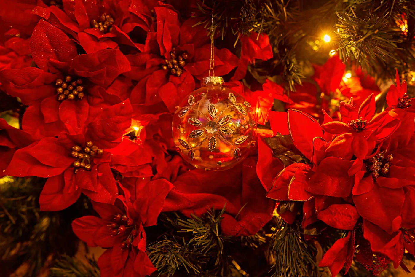 My wife survived cancer a couple of years ago and an image very similar to this one gave her great hope during Christmas, so she tried to recreate what she saw with some variations to it. Took this im
