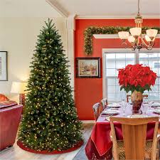 National Tree Jersey Fraser Fir Christmas Tree - Green - Christmas Theme -  Vertical by National Tree Company, NLT729083971624