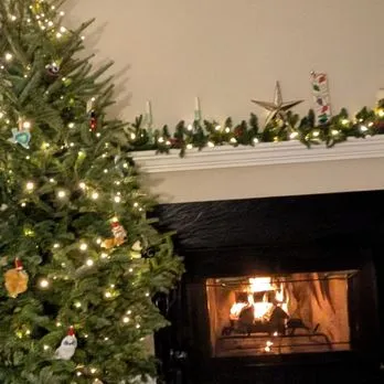 NORTH STAR CHRISTMAS TREES - Updated October 2026 - 14 Reviews - 11120  Cherry Hill Rd, Adelphi, Maryland - Christmas Trees - Phone Number - Yelp