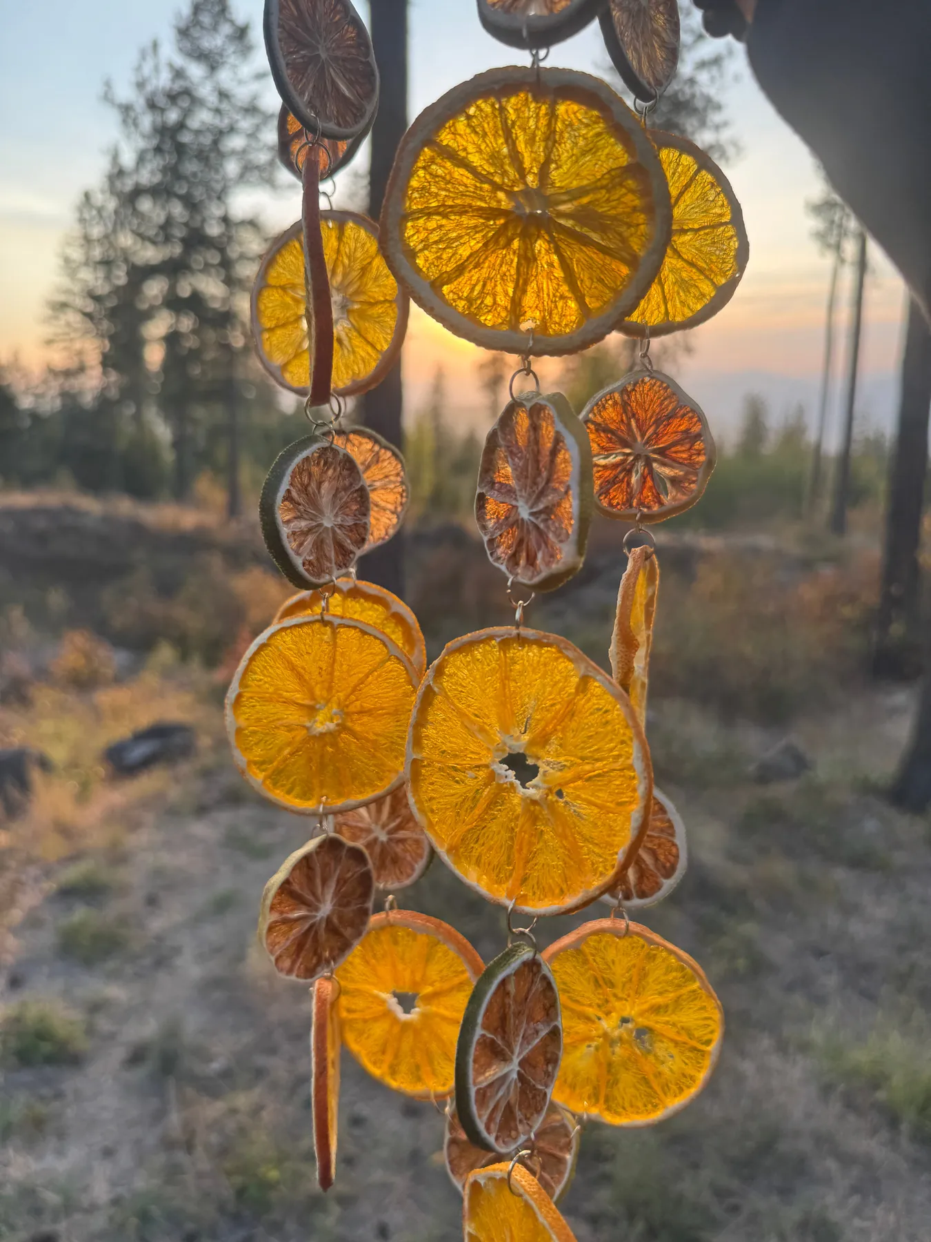 Organic Dried Citrus Garland: Orange, Lime, Gold Accent Christmas Deco – Northwest Haven's Harvest