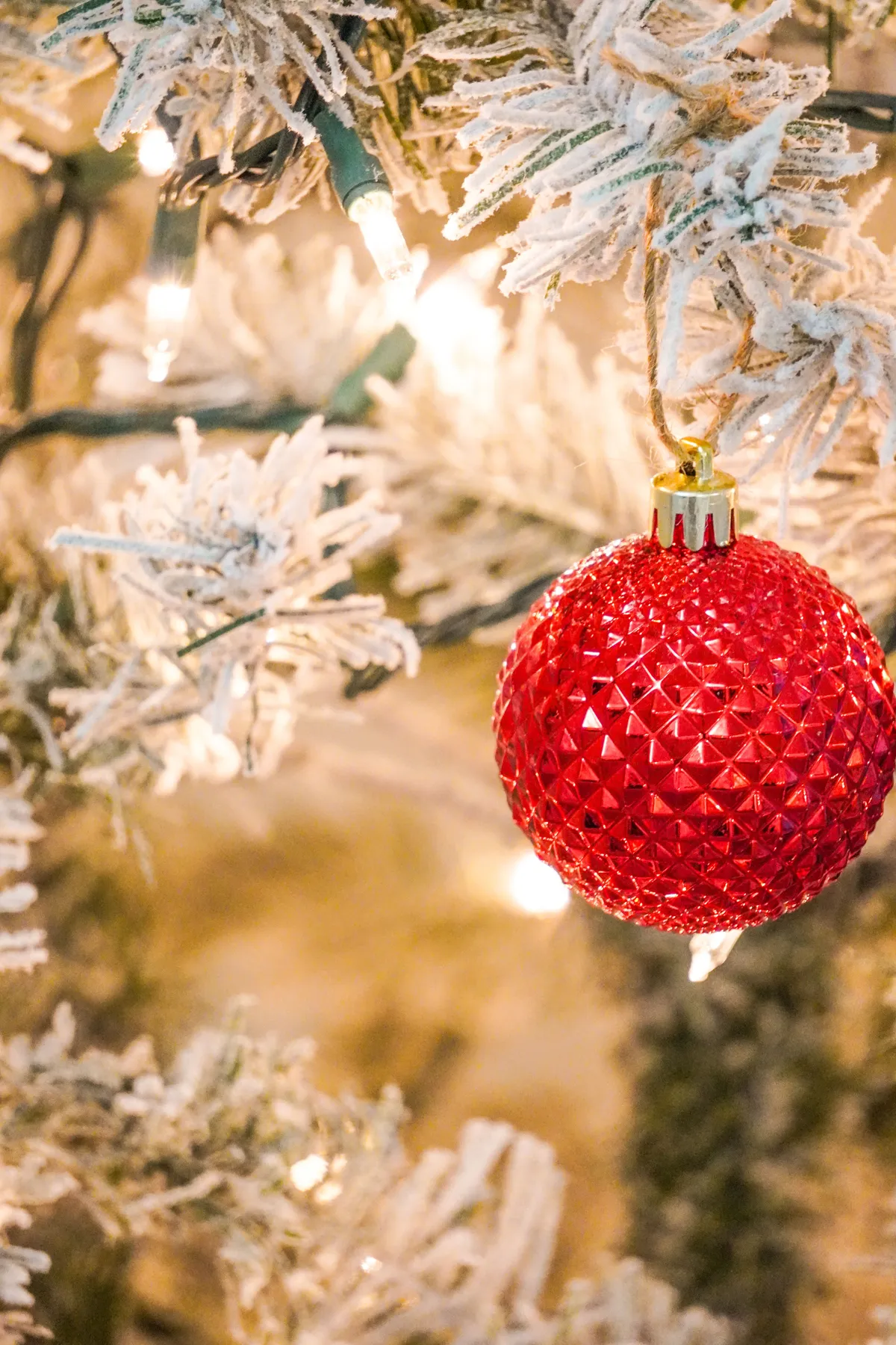 Ornament on Christmas Tree · Free Stock Photo