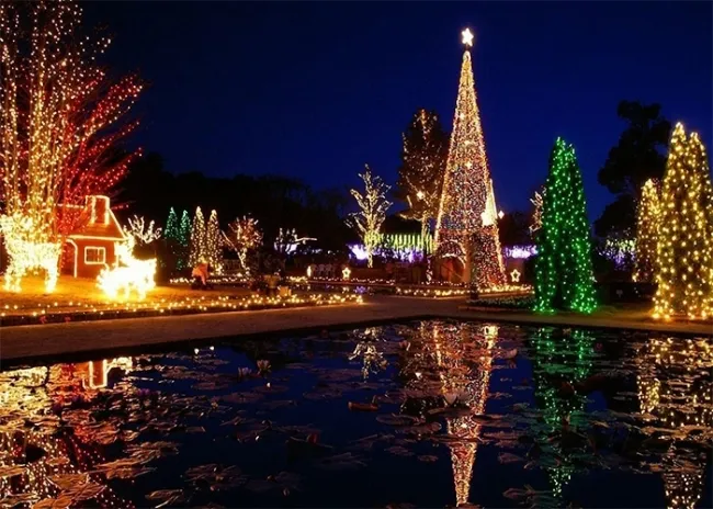 Outdoor Christmas Night Light Decoration Tree Scene Backdrop Stage Photography Background Prop
