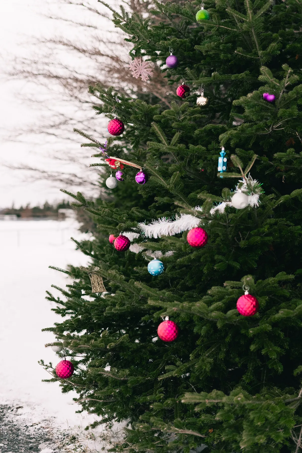 Outdoor Christmas tree adorned with colorful ornaments and snow, creating a festive winter scene.