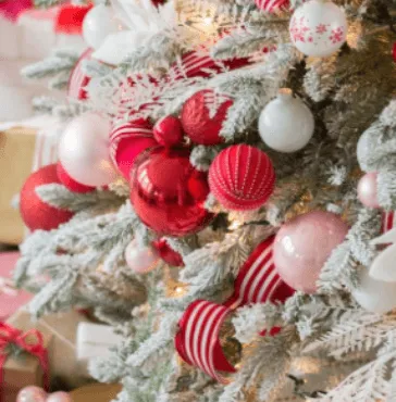 Phoenix Christmas Family Mini Sessions