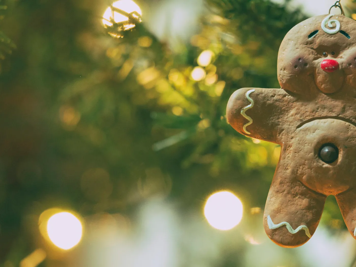 Photography of gingerbread - Free Photo on Unsplash