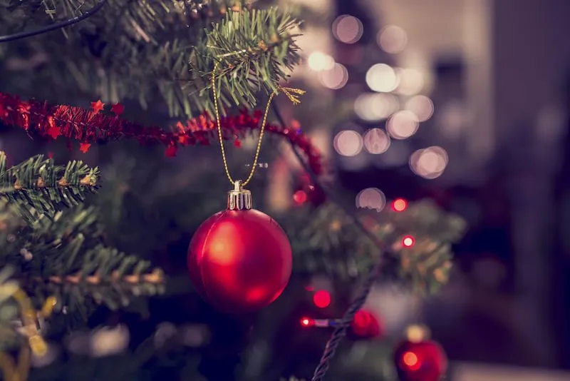 Pleasant Grove to begin picking up Christmas trees Jan. 7 – Deseret News