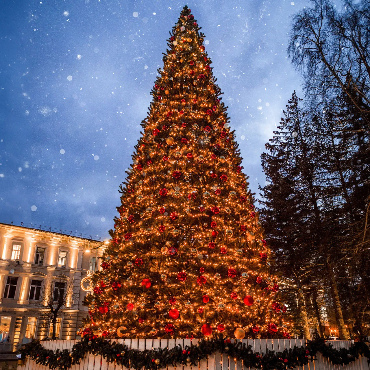 Pre-Lit Giant Olympia Pine Commercial Artificial Tower Christmas Tree - 26' - Warm White LED Lights | Christmas
