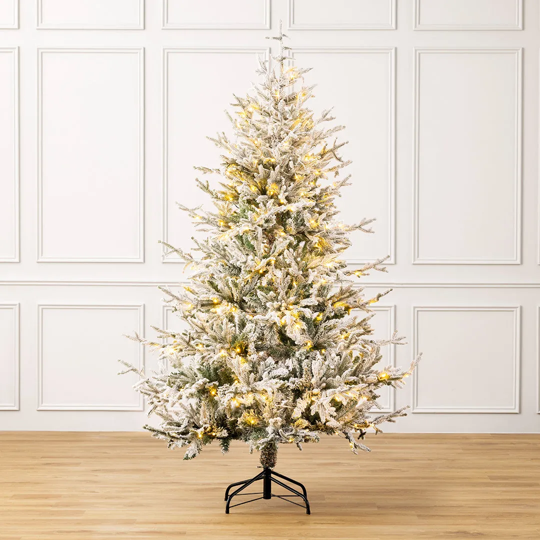 Pre-Lit Verbier Fir Flocked Christmas Tree | 6ft–8ft | Christow