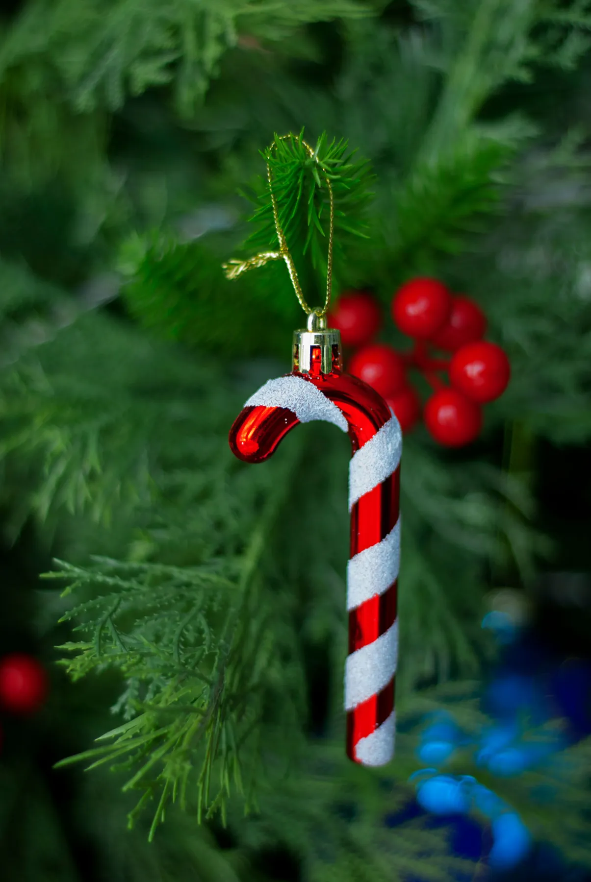 Red and white candy cane ornament hanging on a Christmas tree branch for a festive holiday look.