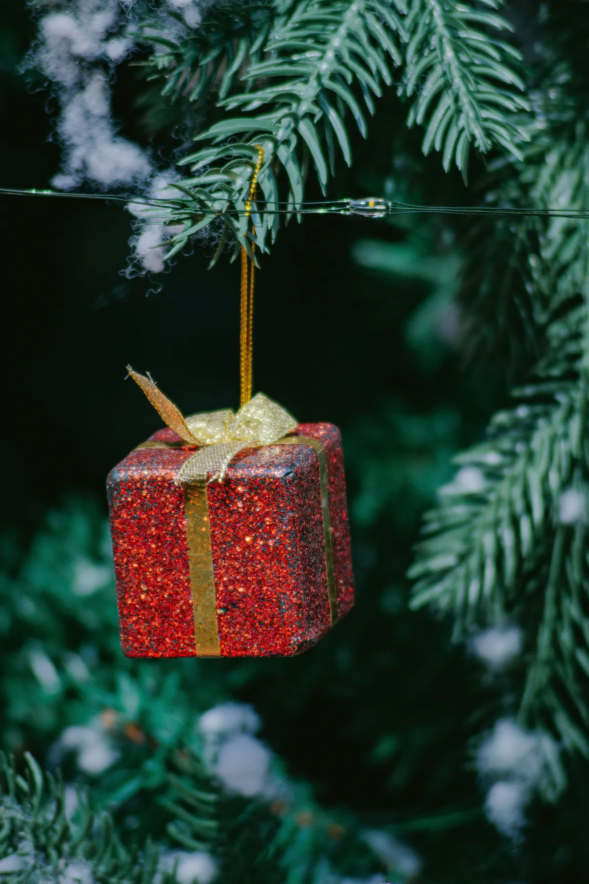 Red gift box ornament with gold ribbon hanging on a Christmas tree branch.