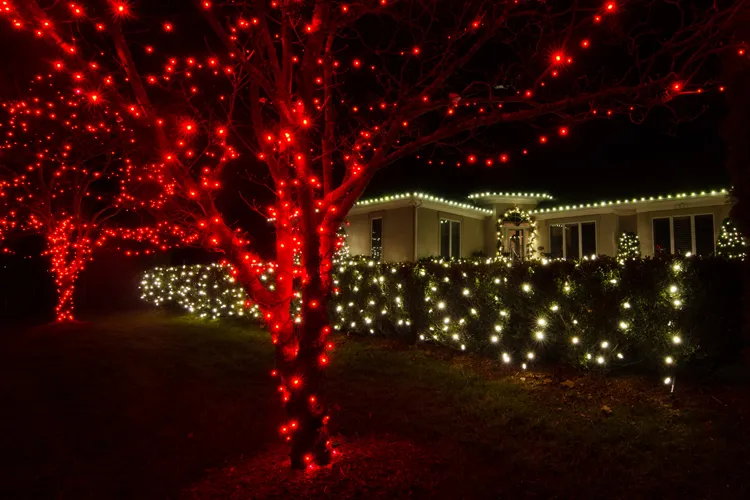 Red? Green? White? All of the above? What C9 LED holiday light colors are most popular in St. Louis? – Outdoor Lighting and Landscape Lighting in St. Louis Blog