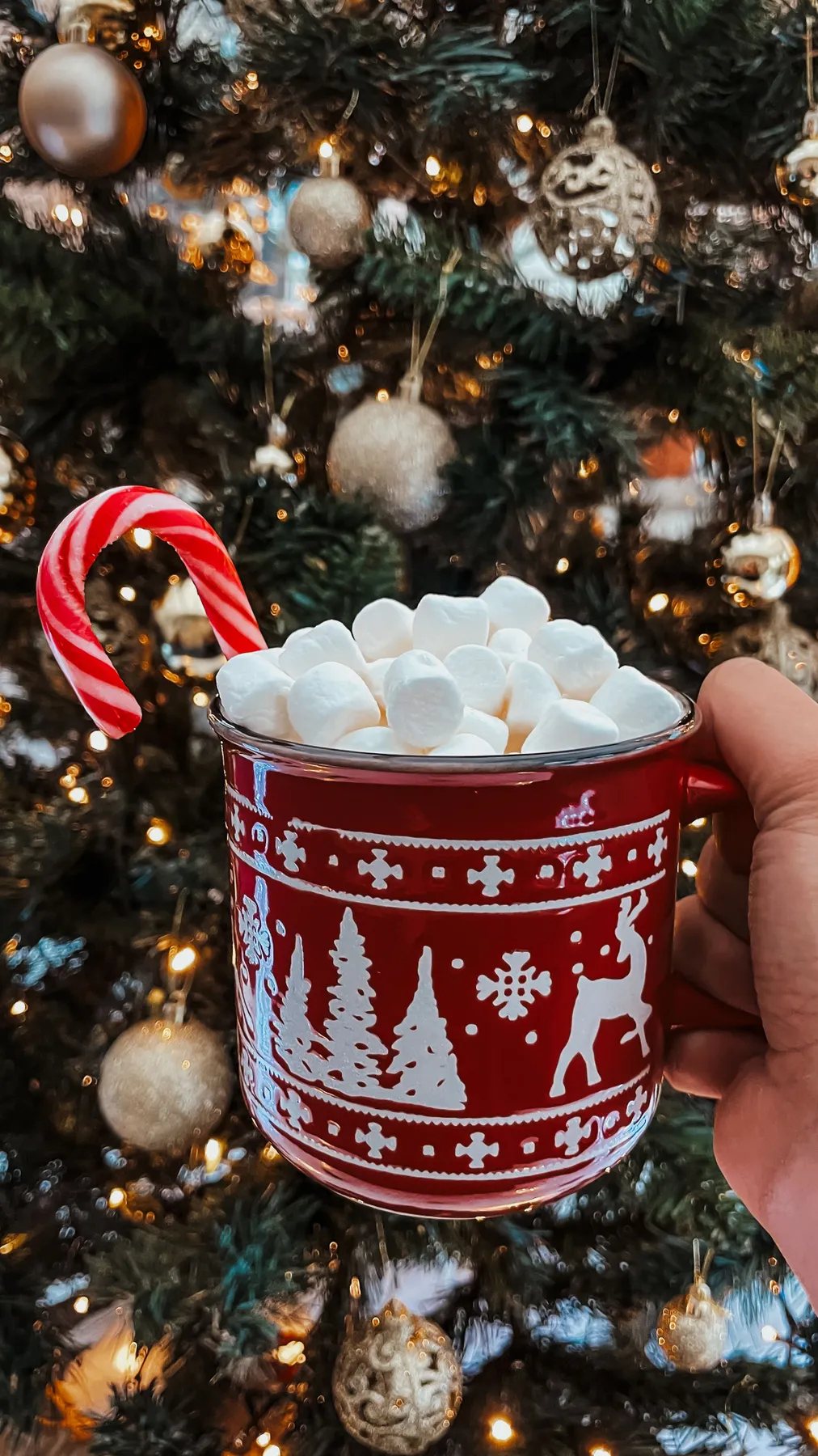 Red mug with marshmallows and candy cane in front of a decorated Christmas tree.
