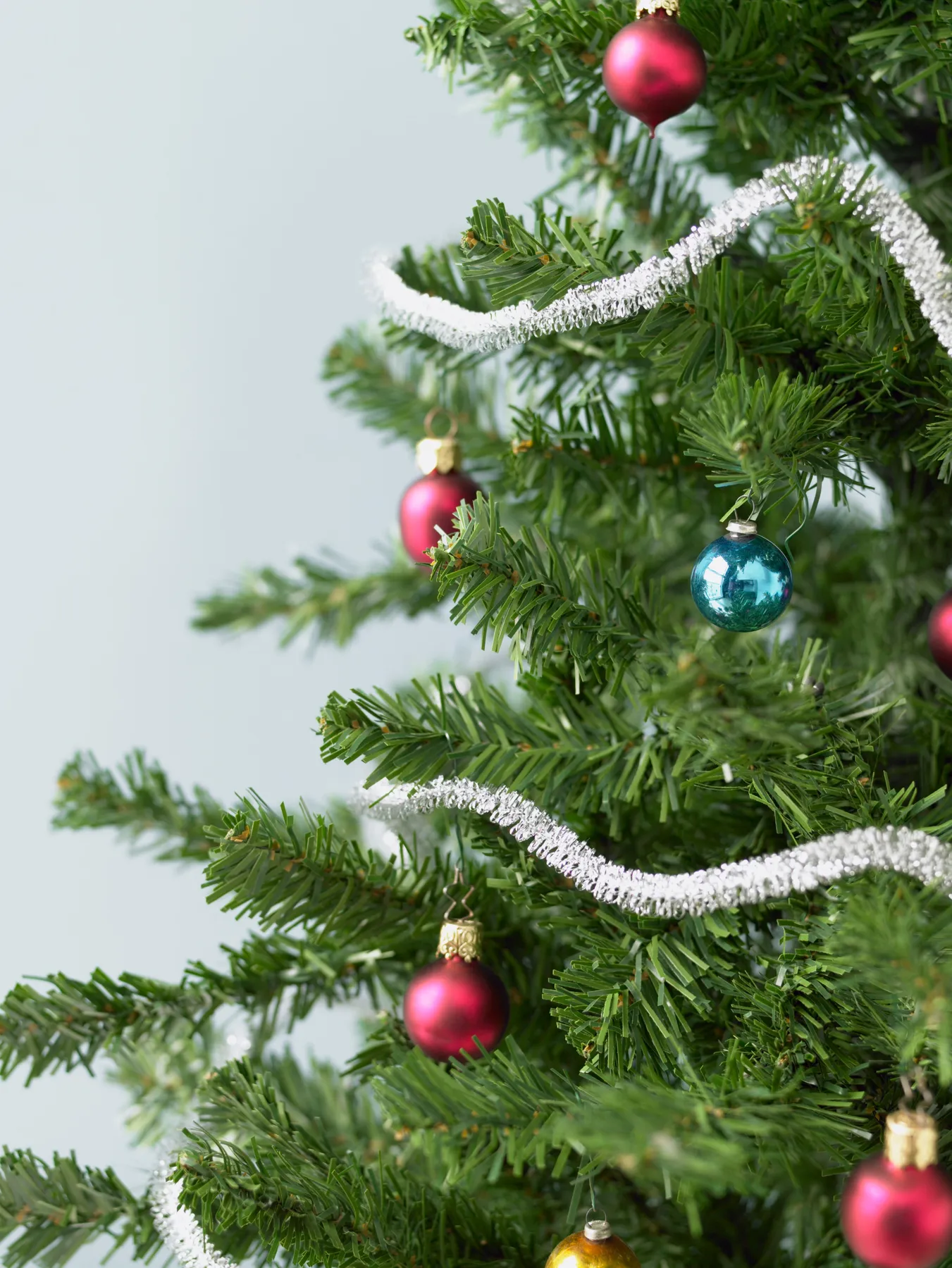 Saying Goodbye to Your Christmas Tree | Southington, CT Patch