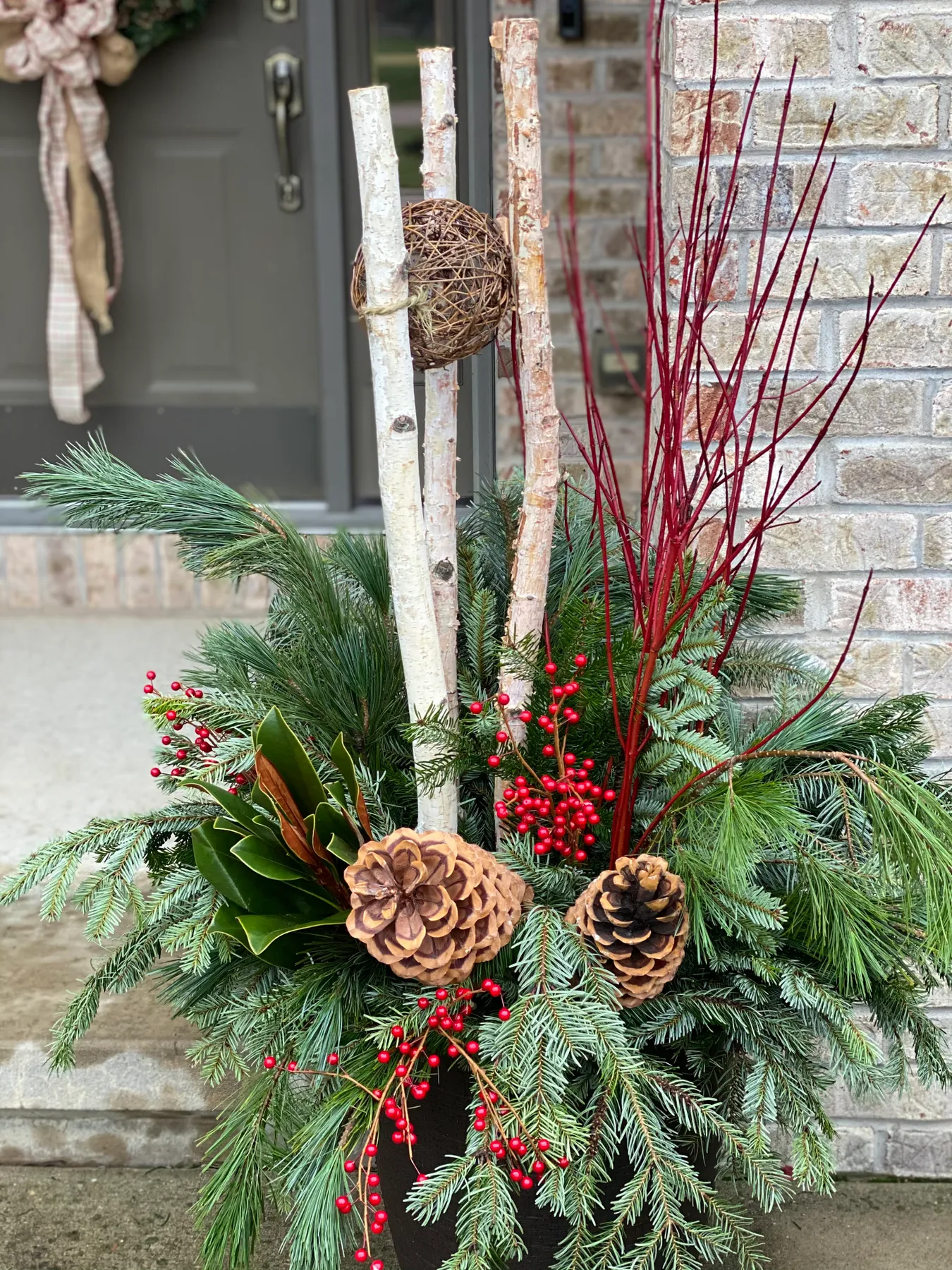 Seasonal Plants - Robin's Nest Floral