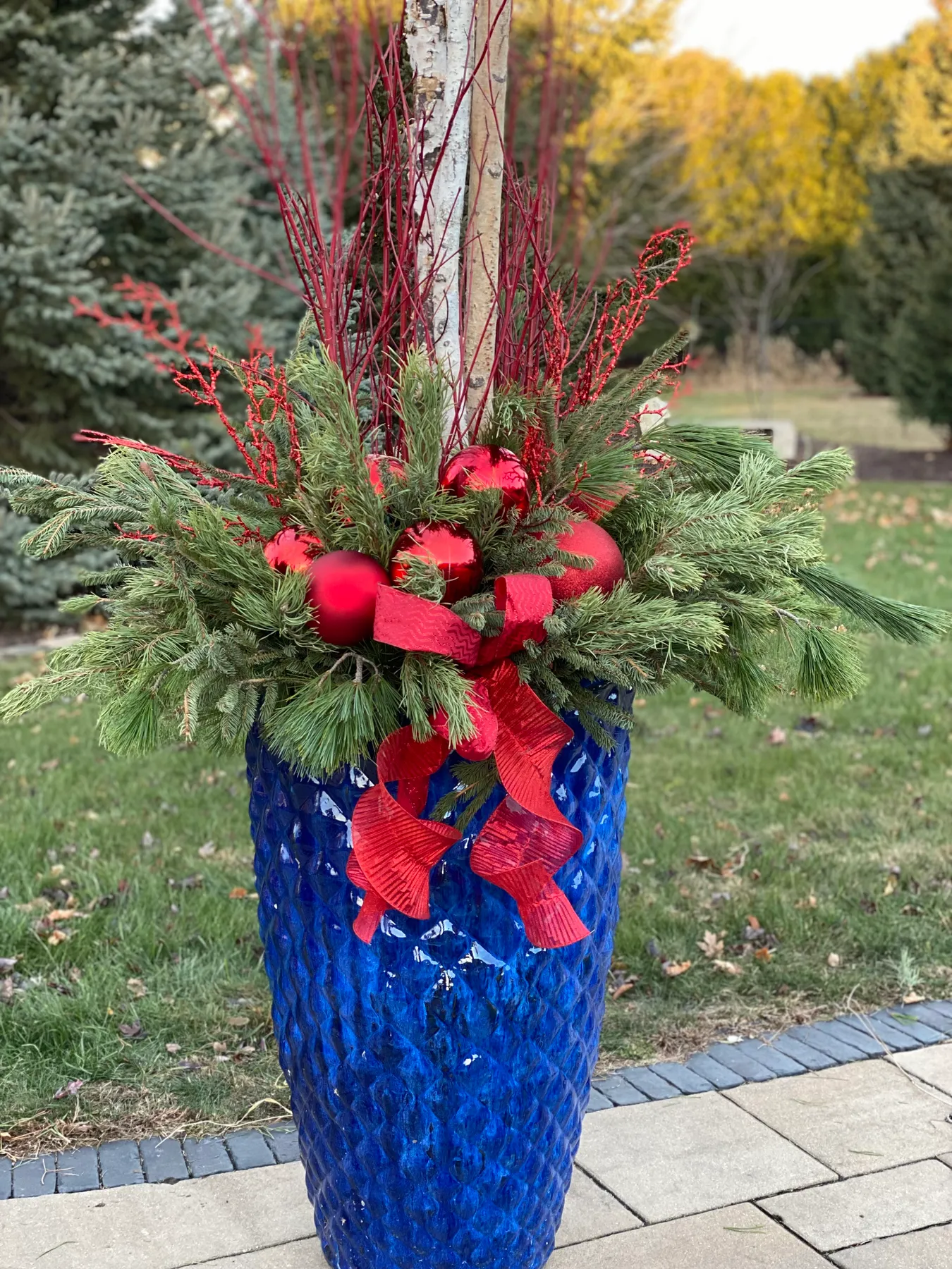 Seasonal Plants - Robin's Nest Floral