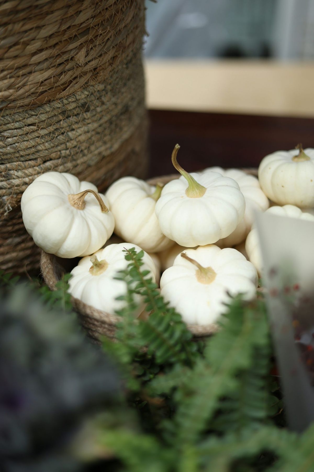 Small white pumpkins arranged in a basket with greenery