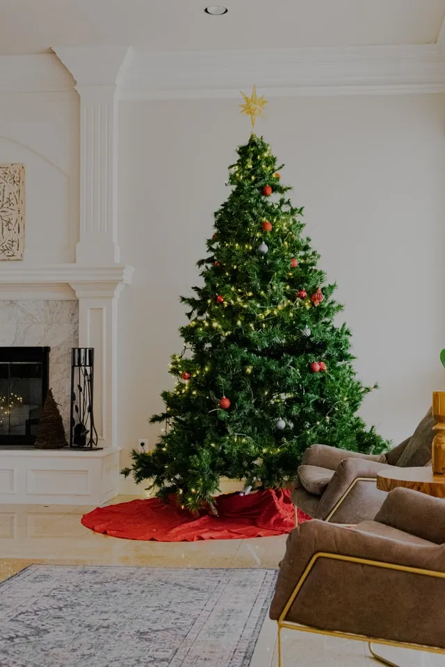Sophisticated Ways to Decorate Your Christmas Tree - Daily Dream Decor