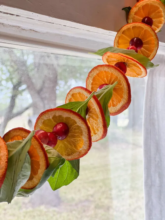 Stringing Cranberry Garland DIY Dried Orange Cranberry Popcorn Garlands Simple Eco Mama