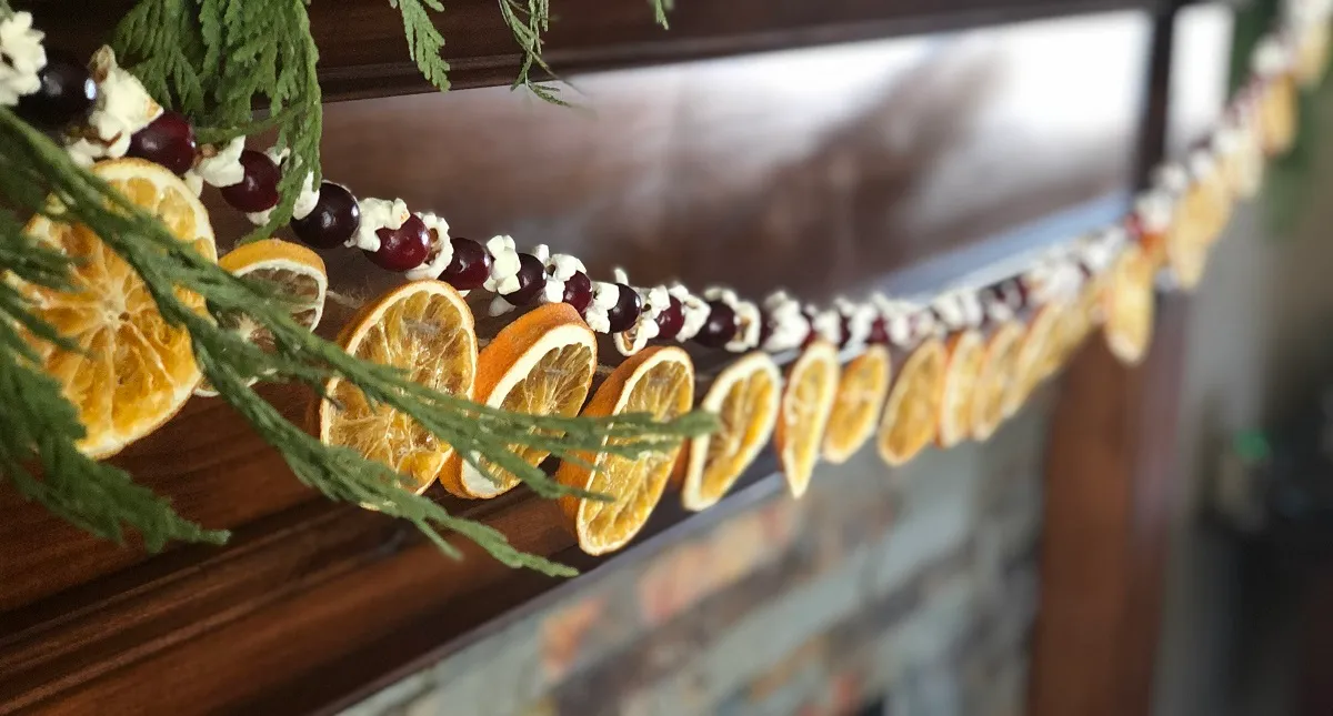Stringing Cranberry Garland DIY Dried Orange Cranberry Popcorn Garlands Simple Eco Mama