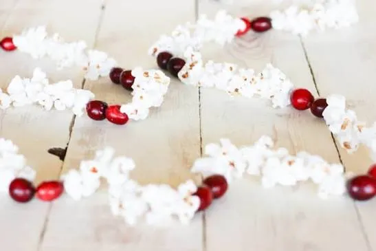 Stringing Cranberry Garland Handmade Dried Orange Garland Tulips And Twill