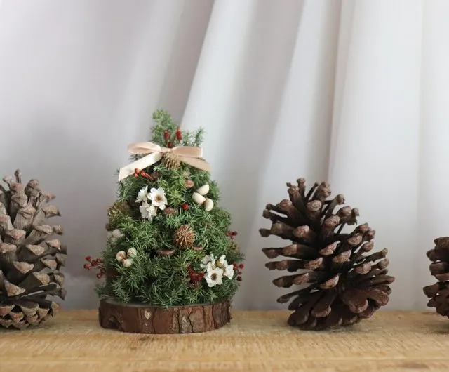 Taiwan - Pine Cone Christmas Tree - Dried Flower Pine Cone Christmas Decor  Christmas Exchange Gift shibashiba2016 - Pinkoi
