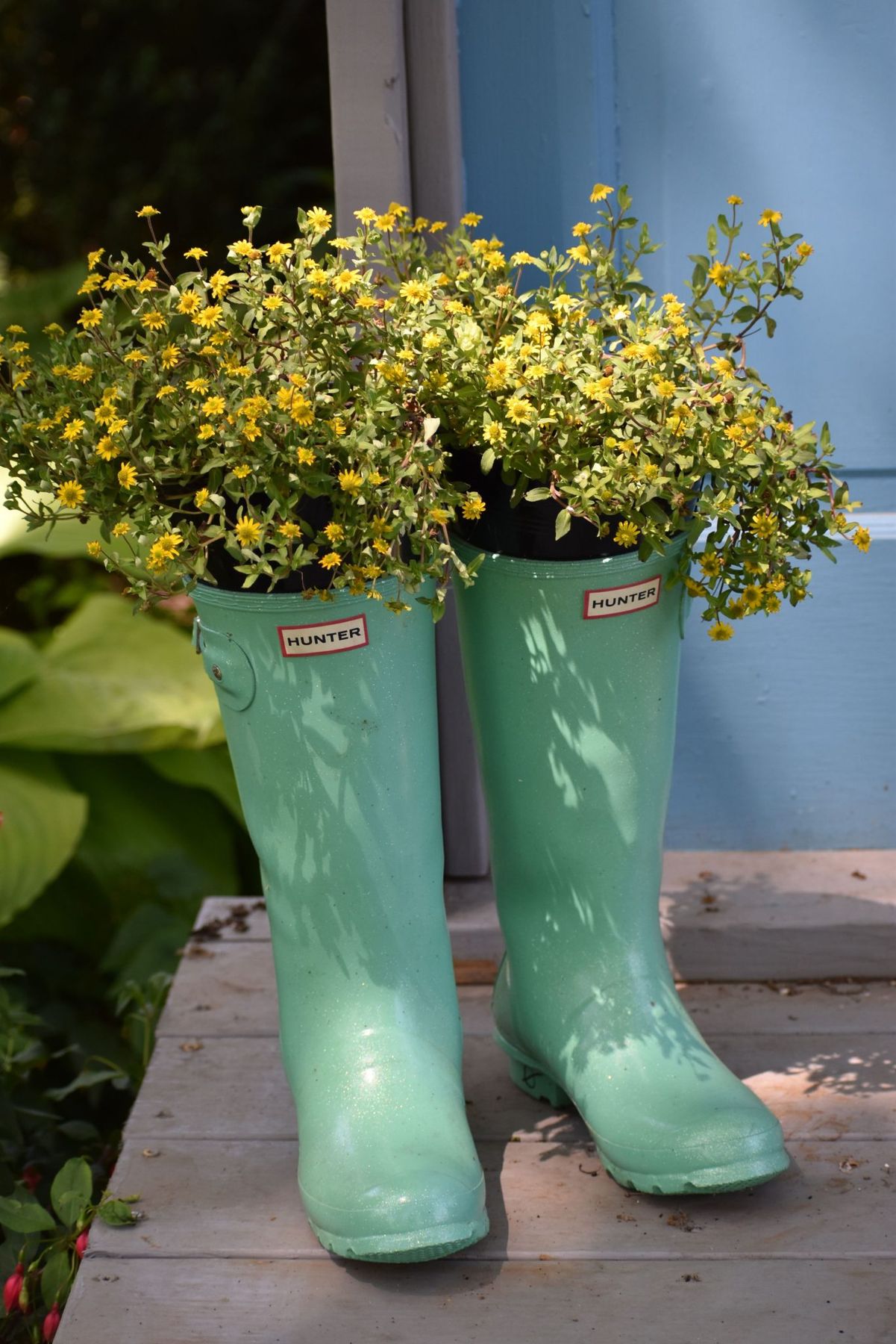 Teal rubber boots repurposed as planters with vibrant yellow flowers. Perfect for garden decor ideas.