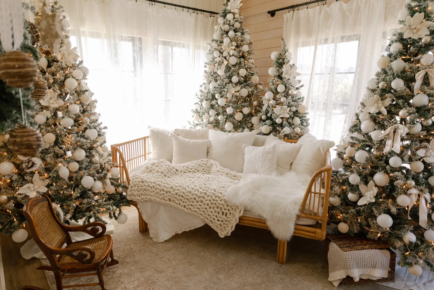 The Cottage — Studio House AZ