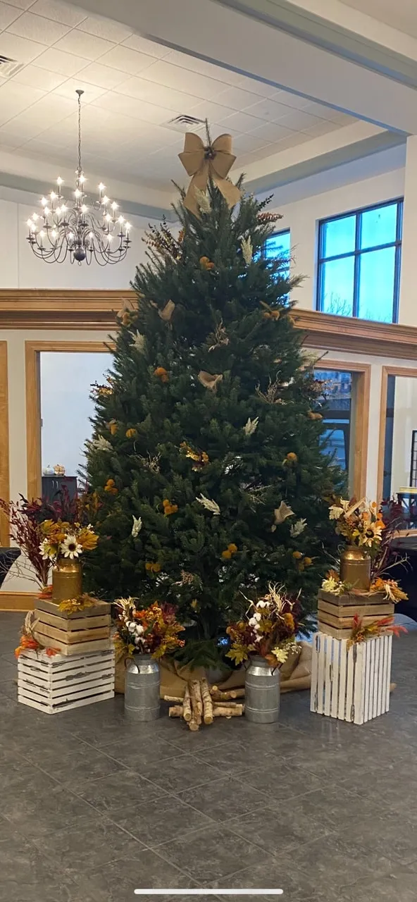 The First Thanksgiving Tree - Cumberland Valley Tree Service - Landscaping