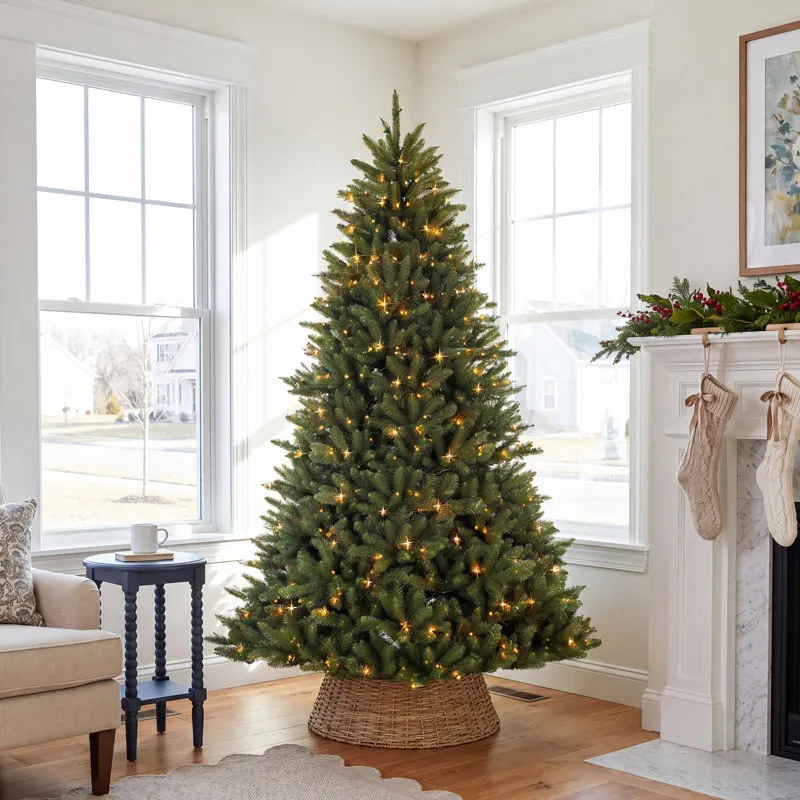 The Holiday Aisle 6.5' Green Fir Artificial Christmas Tree with Clear Lights