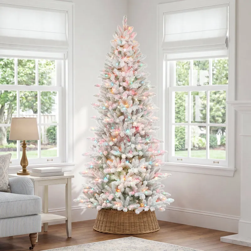 The Holiday Aisle® Slim Flocked Fraser 7.5' White/Green Fir Artificial  Christmas Tree with 500 Multi-Color Lights & Reviews | Birch Lane