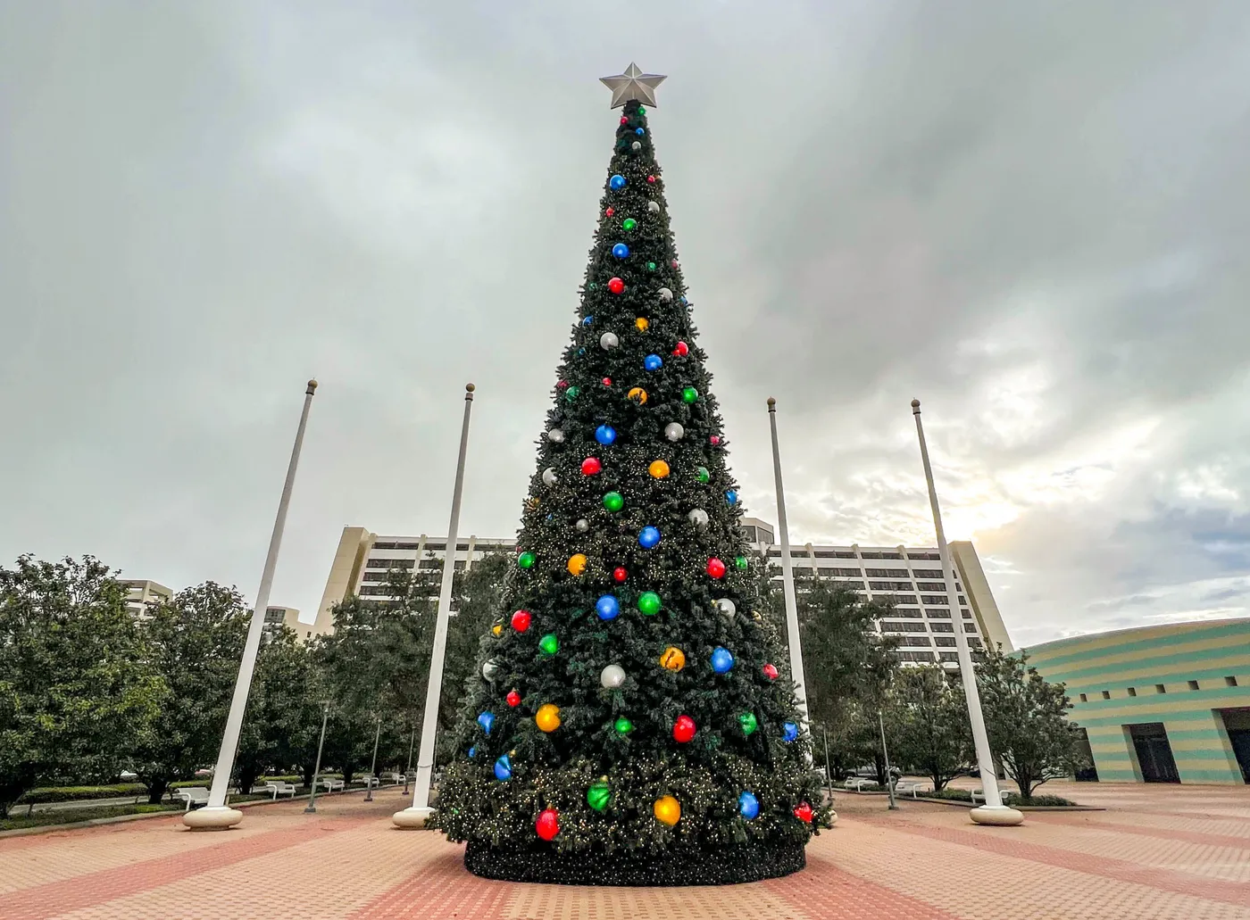 The Most Spectacular Tree Arrives at Disney's Contemporary Resort -  MickeyBlog.com