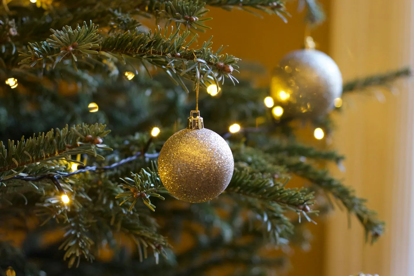 The Perfect Tree - Sasee Magazine