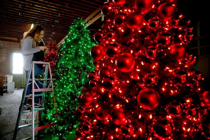 The world's largest fresh-cut Christmas tree will be featured in 'The One' Christmas celebration in Enid.