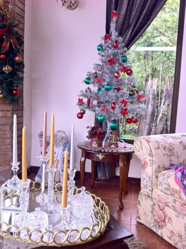 This Year's Christmas Trees | HOUSE TROPICAL