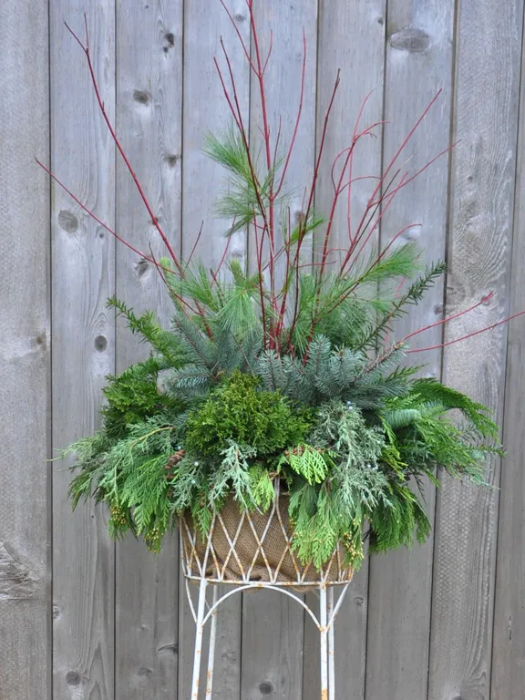 Three Dogs in a Garden: A Little Twist on a Holiday Planter