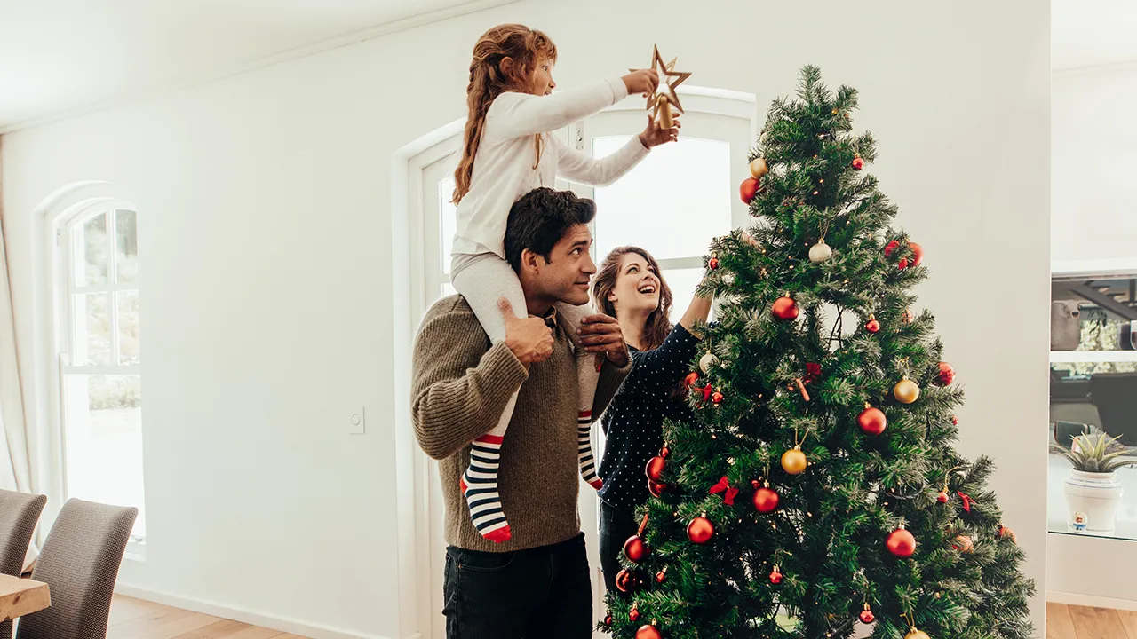 Too early for the Christmas tree? 55% say November after Thanksgiving is  acceptable time for holiday decoration - ABC7 Chicago