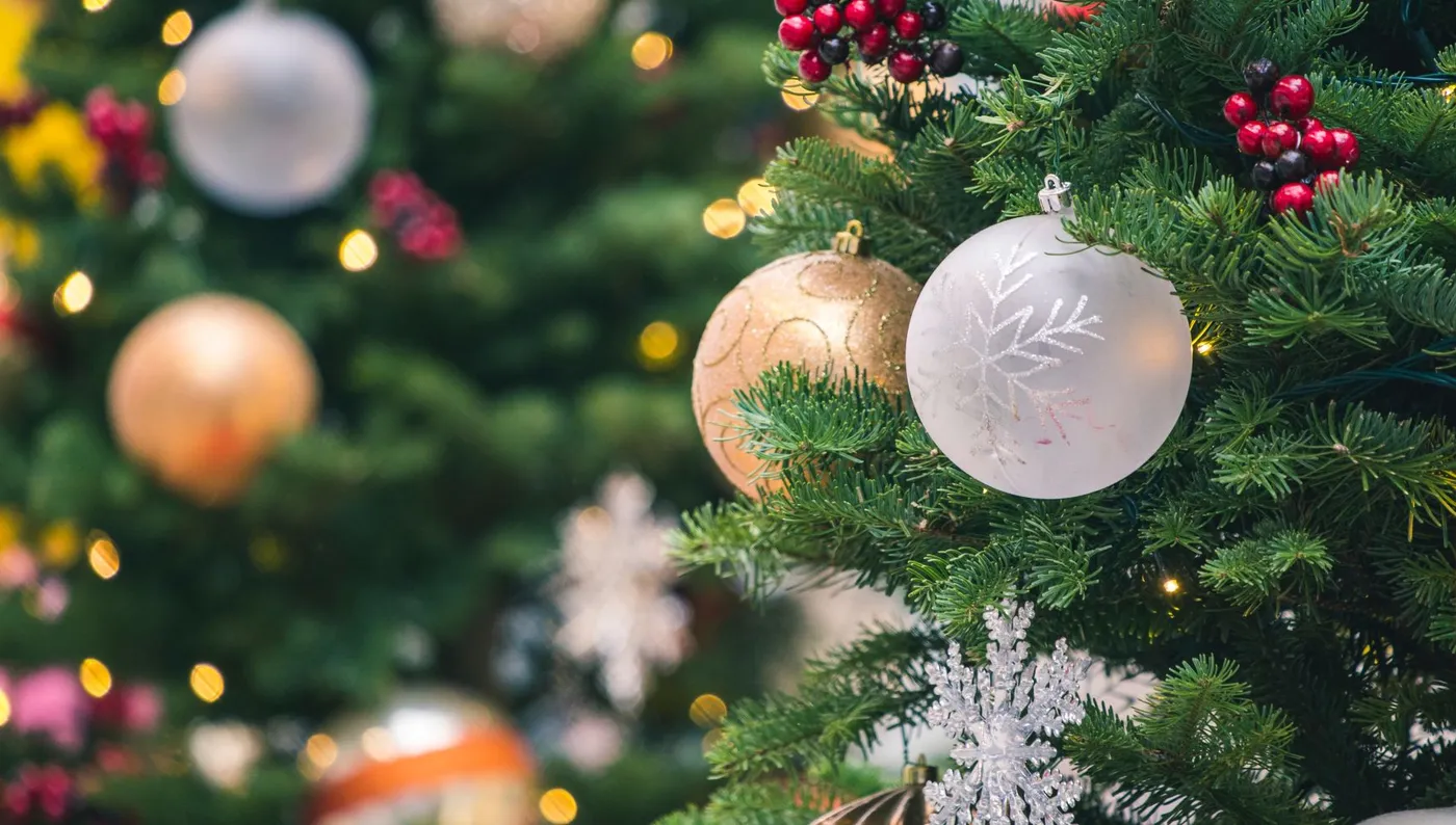 Tree Lighting Ceremony in Durham, NC | Washington Duke Inn
