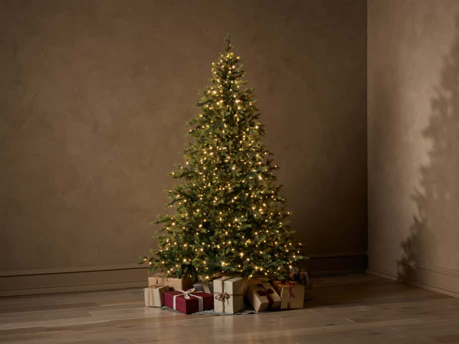 Trees – Arhaus