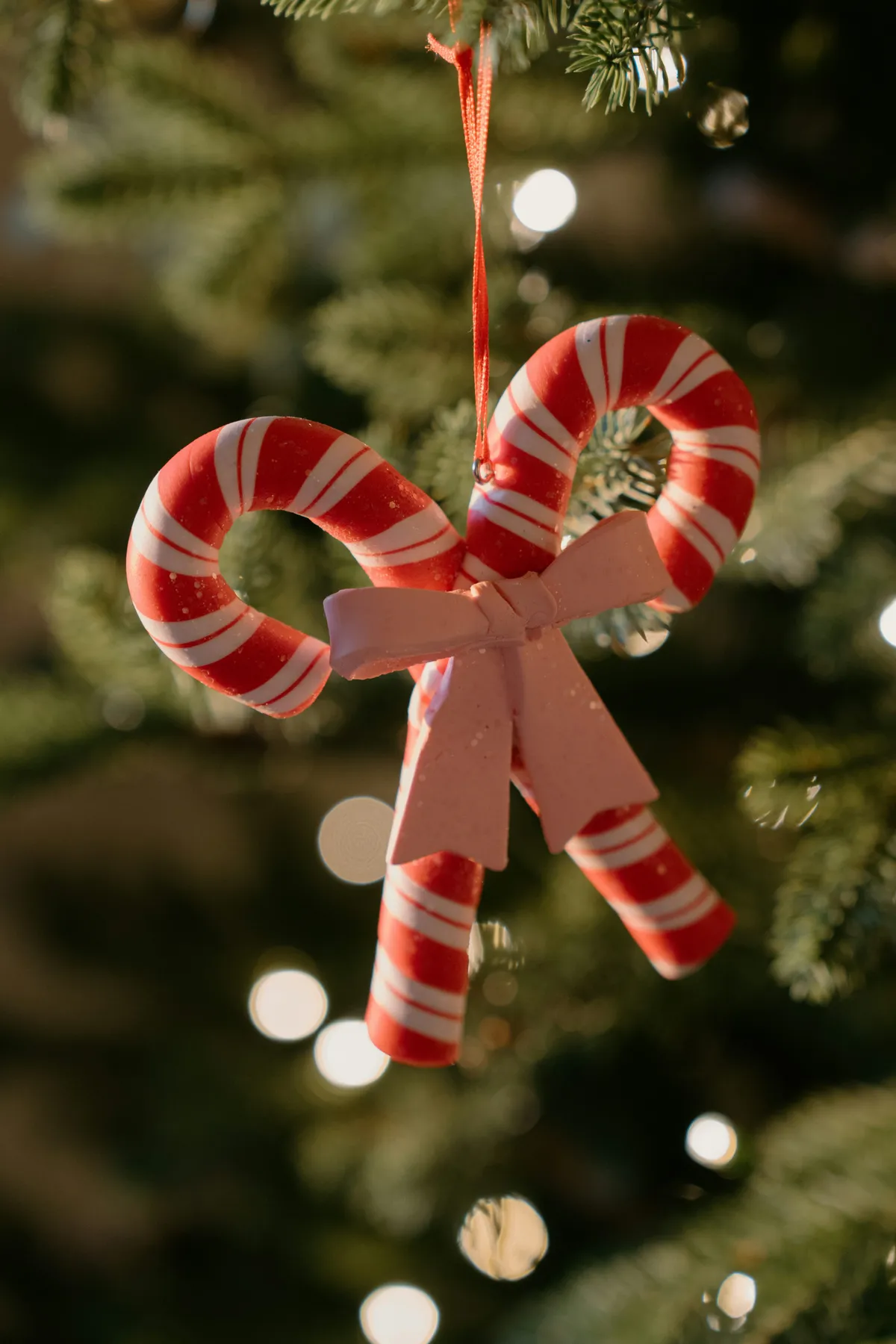 Two candy canes tied together with a pink bow - Free Photo on Unsplash
