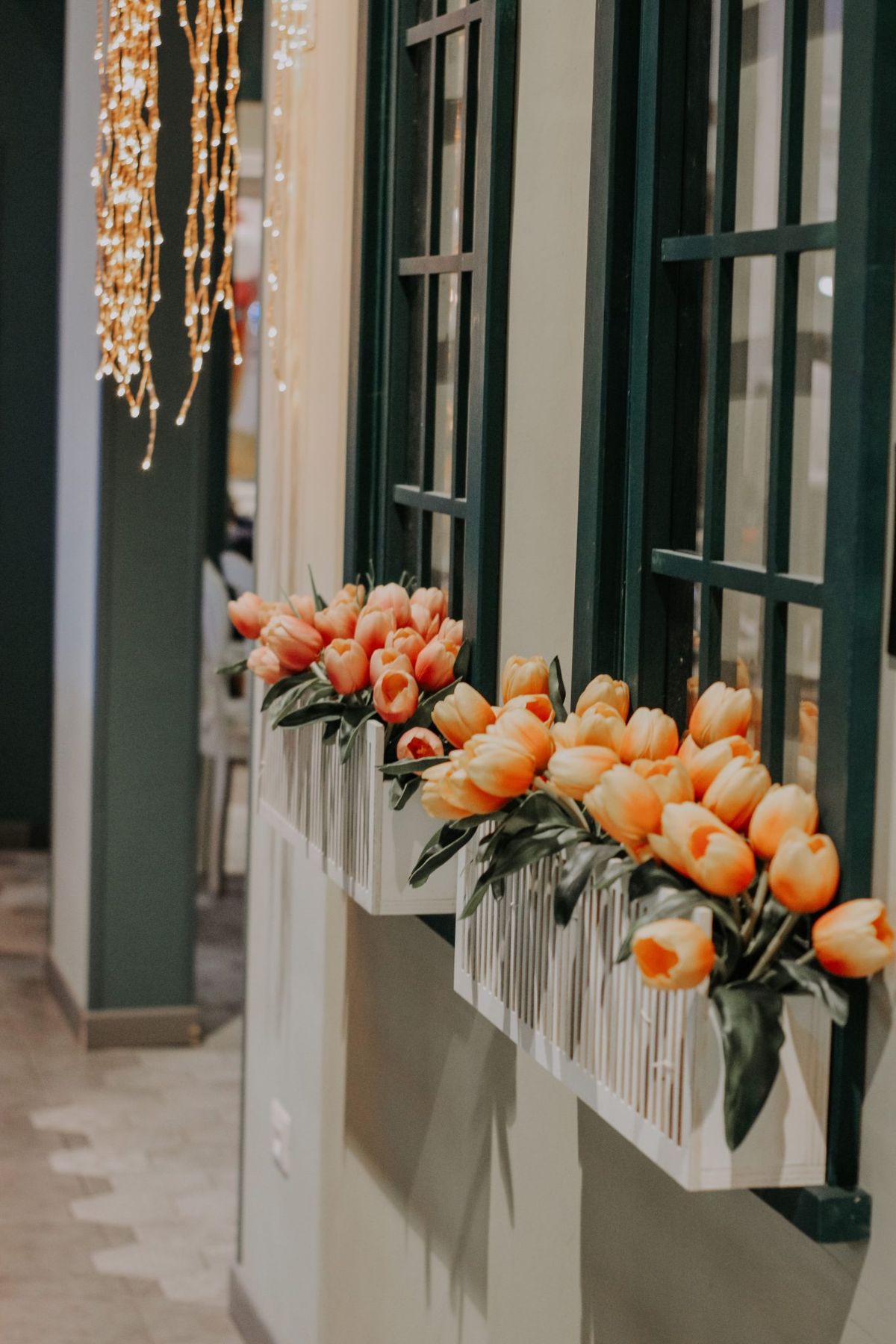 Vertical shot of vibrant tulip flower boxes on stylish window sills indoors.