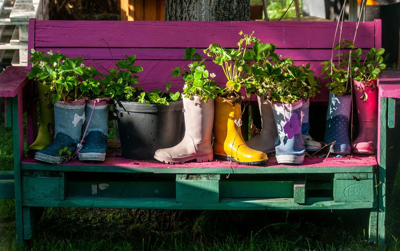 Vibrant rain boots repurposed as planters with lush greenery on a painted garden bench.