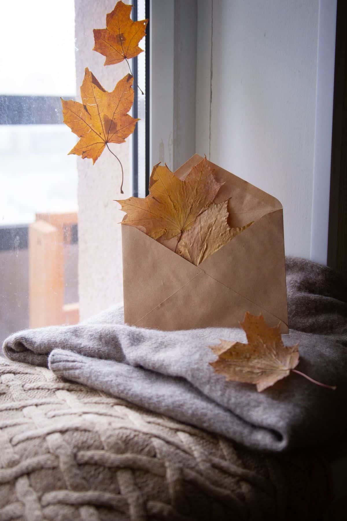 Warm autumn still life with brown envelope and leaves by window.