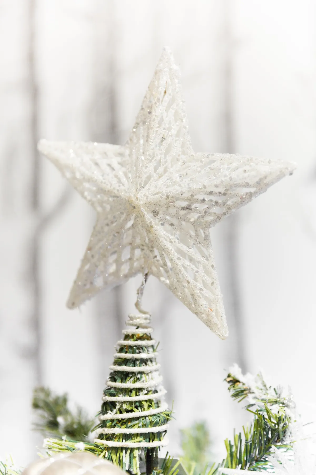 White Christmas star – Free Public Domain Image | Public Domain Pictures