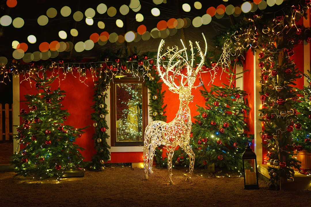 Winter Is Coming | Gerbert & Sons