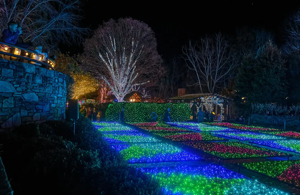 Winter Lights at NC Arboretum Photo Tour