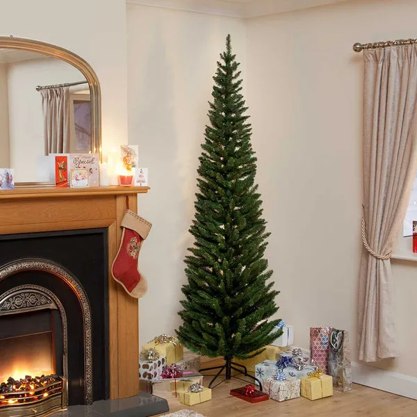 Wrapped Pencil Pine Tree 7ft – DeWaldens Garden Centre