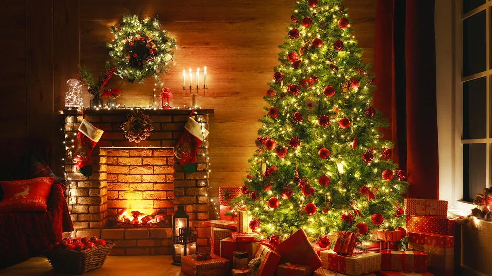 You're Probably Throwing Out Your Old Christmas Tree The Wrong Way